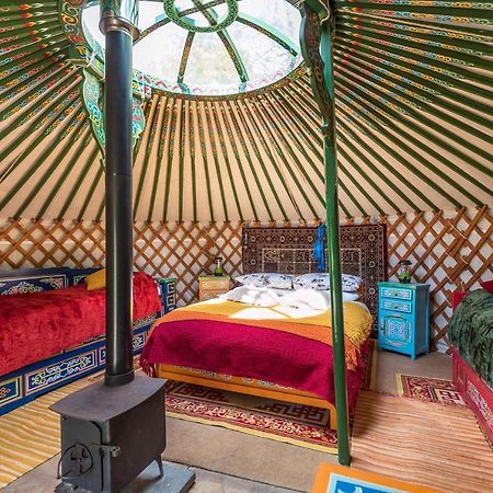 Pembrokeshire Yurts - Badger Hotel Llanfyrnach Eksteriør billede