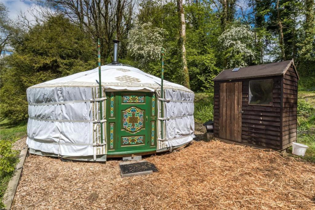 Pembrokeshire Yurts - Badger Hotel Llanfyrnach Eksteriør billede