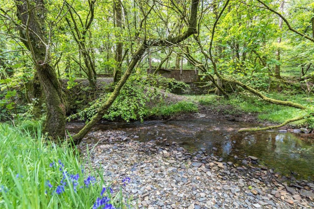 Pembrokeshire Yurts - Badger Hotel Llanfyrnach Eksteriør billede