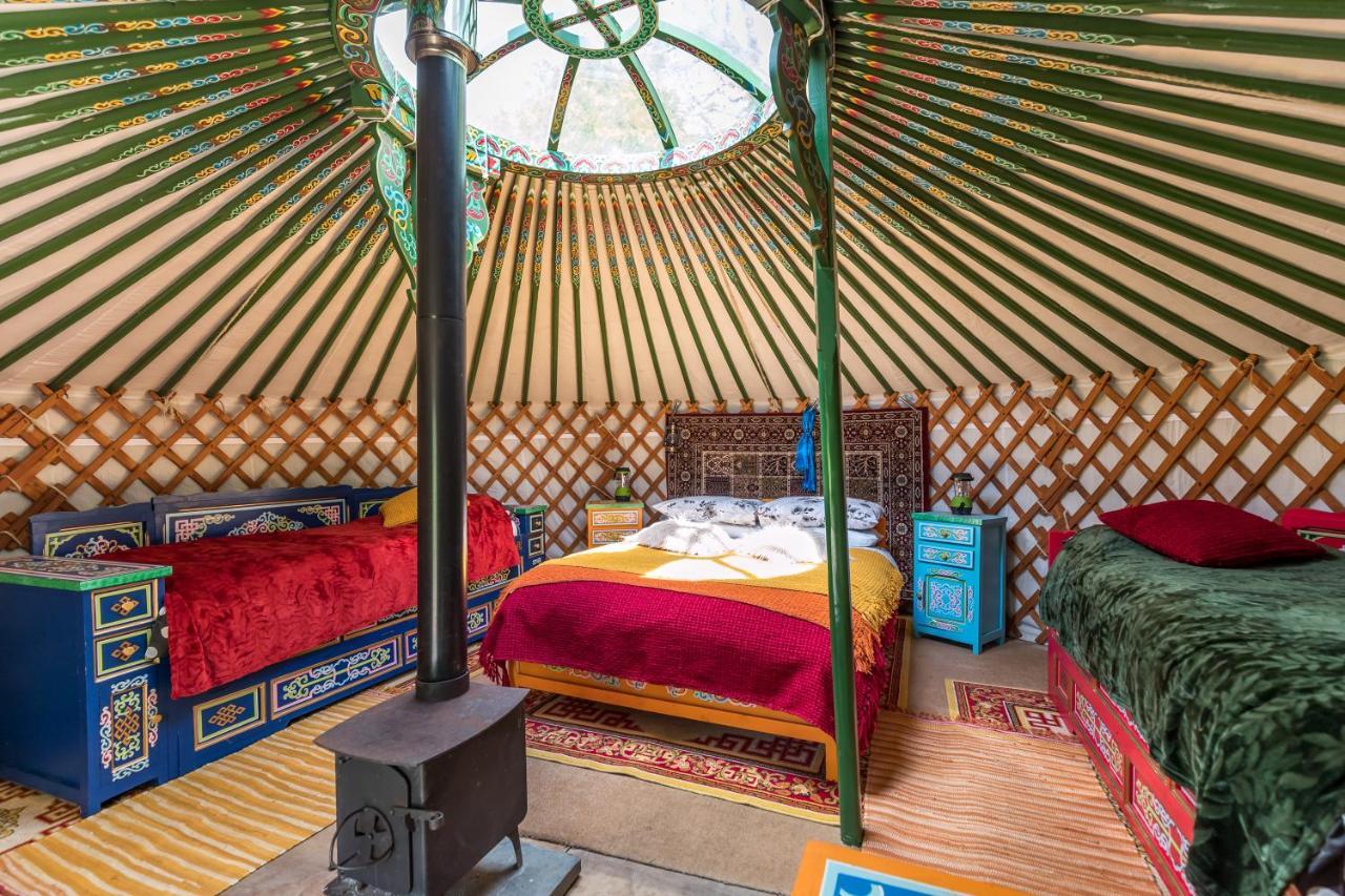 Pembrokeshire Yurts - Badger Hotel Llanfyrnach Eksteriør billede